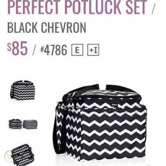 BNIB 31 bags perfect potluck thermals and tote